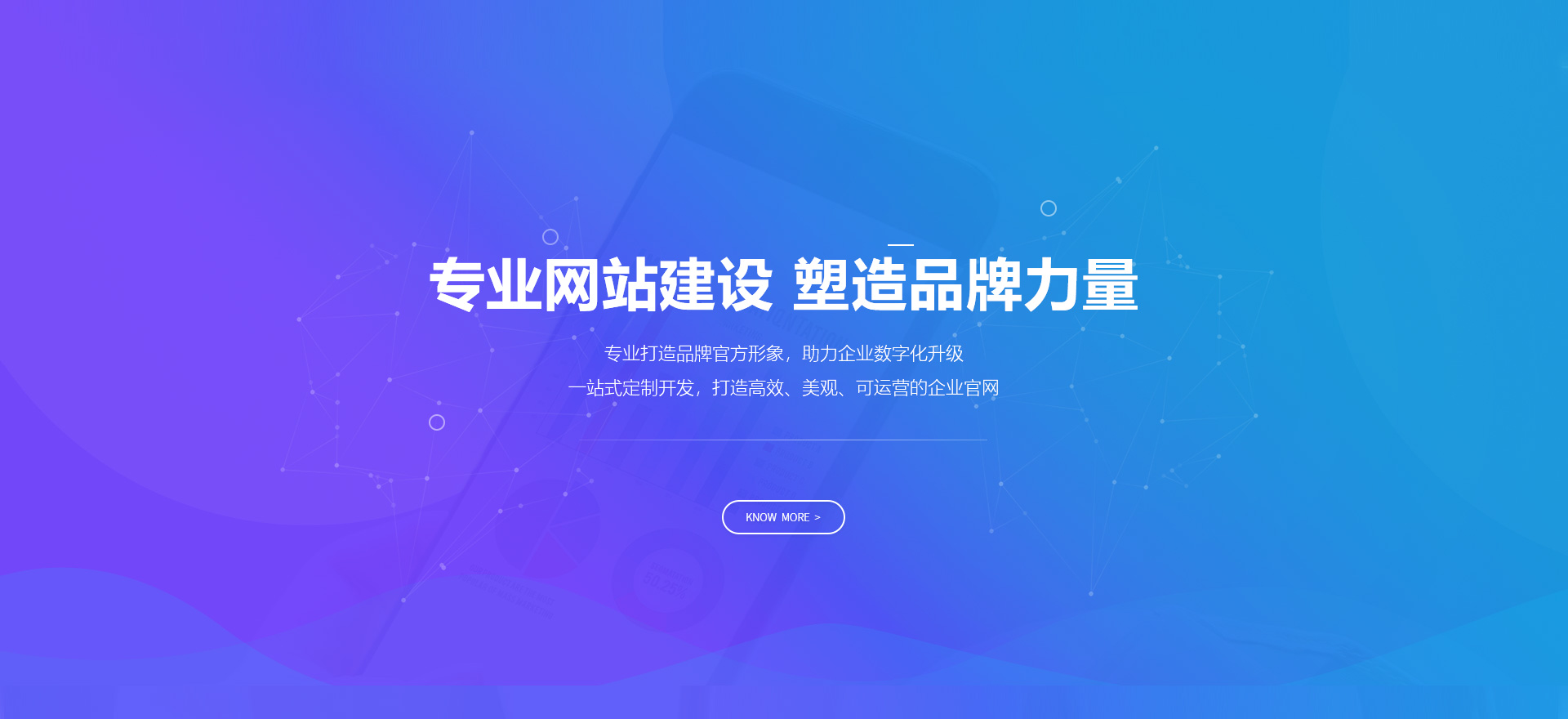 西双版纳建站-专业网站建设 塑造品牌力量