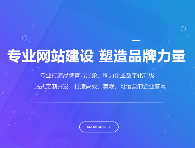 西双版纳建站-专业网站建设 塑造品牌力量